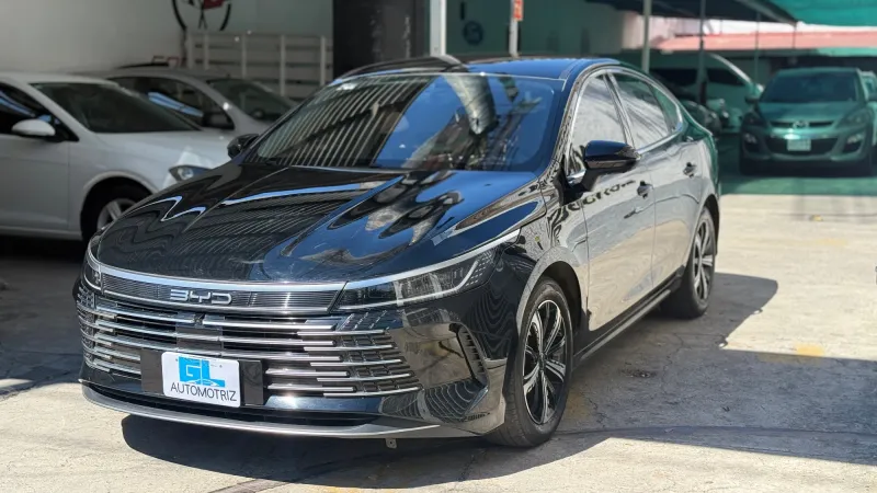 BYD King 2024